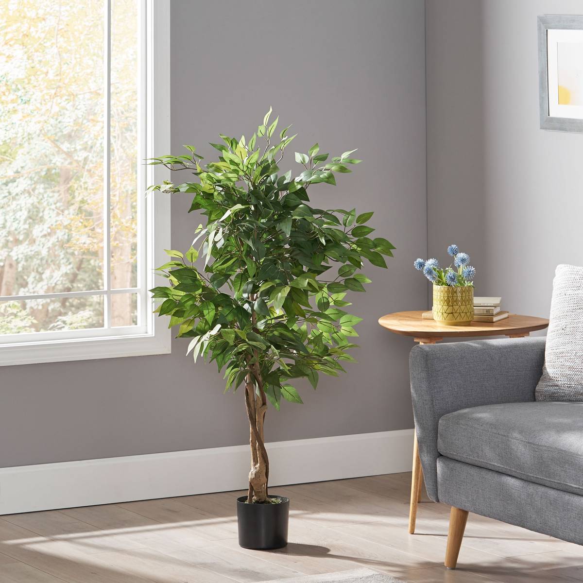 Product image unavailable